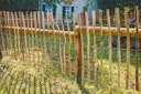 Krongart Staketenzaun 5 Meter Rolle