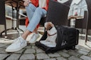 HUNTER Flugtasche Rucksack Miles 30 x 22 x 45 Centimeter Hundetransport