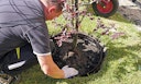 WESERWABEN® Gartenprofil aus Kunststoff 
