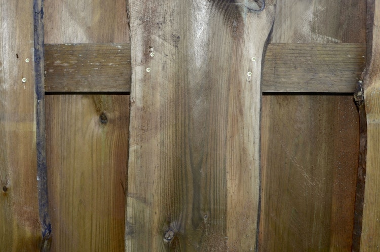 T&J SEELAND-Serie Sichtschutz 90x180 cm