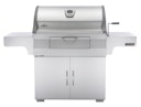 NAPOLEON Holzkohlegrill CHARCOAL PROFESSIONAL, Edelstahl