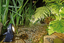 Oase LunAqua Power LED W (42635)