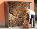 Biohort Woodstock Kaminholzlager Geräteschrank