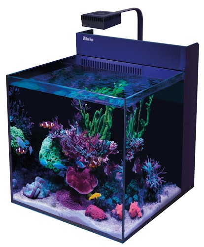 MAX NANO XL G2 - excl. Unterschrank