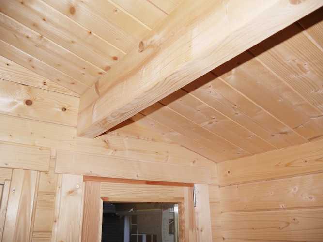 Wolff Finnhaus Gartenhaus Trondheim 44-A isolierverglast XL