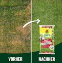 COMPO Rasen-Langzeitdünger 20 kg für 800 m²