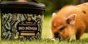 Restberry´s Bio Dünger