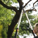 Fiskars SmartFit Teleskop-Astschere 1013564