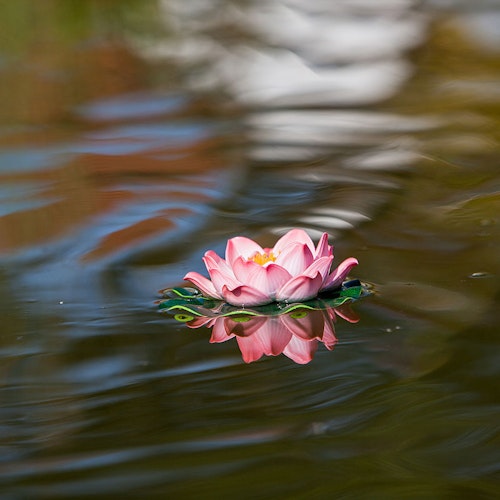 Künstliche Seerosen, 18cm, rosa (001122-00)
