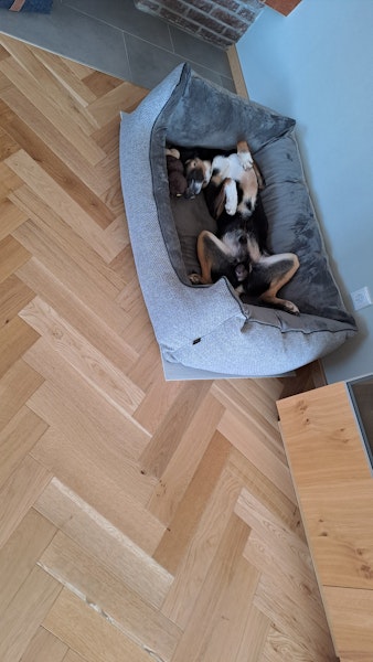 Kundenbild