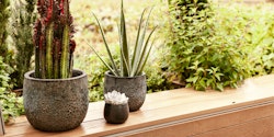 Plant Pot Ilmari schwarz antik