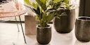 Vorschaubild Plant Pot Nilas schwarz