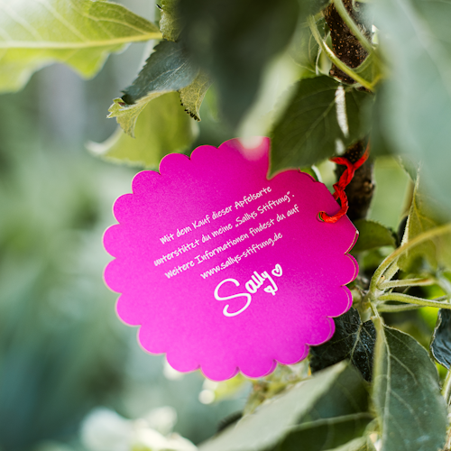 Apfel mit dunkelrotem Fleisch Elmira Rot