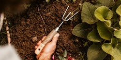Restberry´s Gartenhacke 3-zinkig