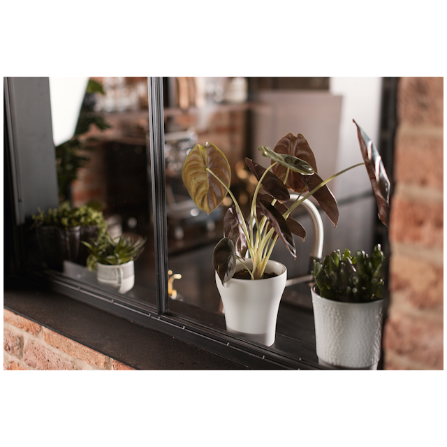 Plant Pot Floora