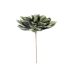 Kaktusblüte Kunstpflanze