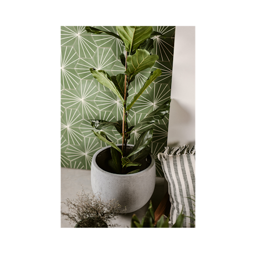 Klocke Design Pflanzgefäß / Blumentopf 3er Set Betonoptik ⌀ 30 cm x H 26 cm; 37 cm x H 33 cm, 45 cm x H 39 cm
