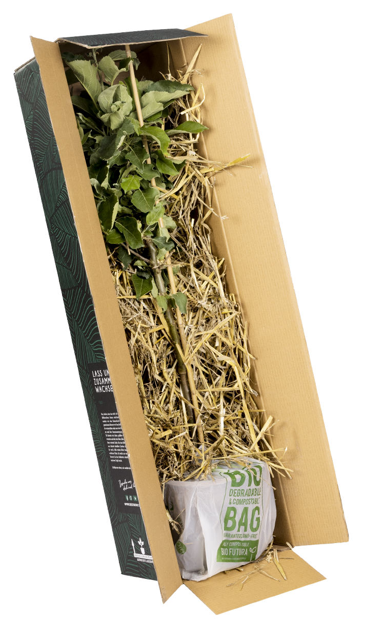 Verpackung
