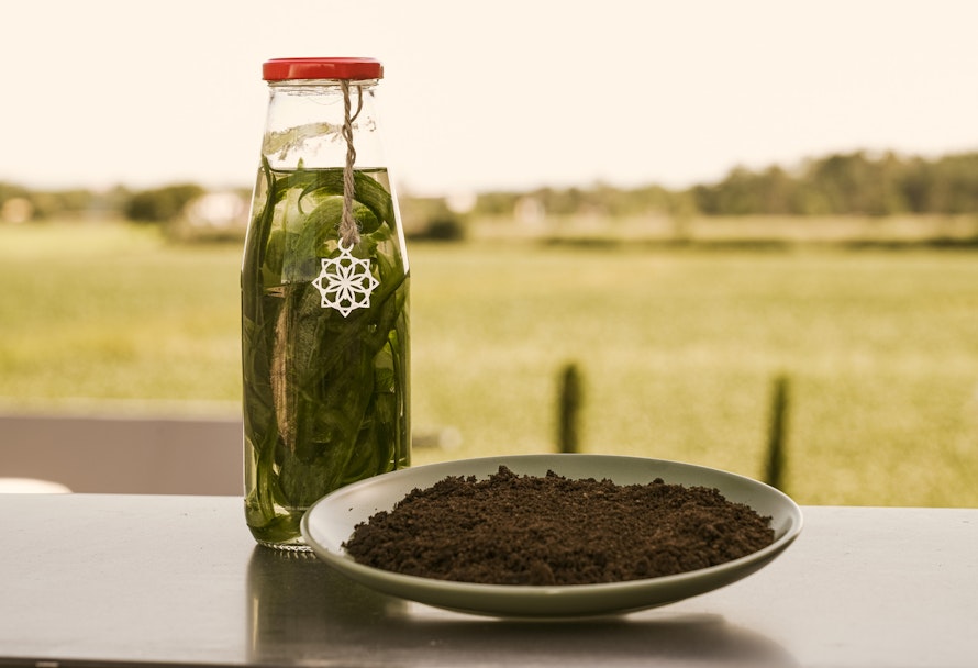 DIY Biodünger aus Küchenresten