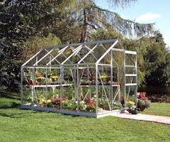Juliana Gewächshaus Popular SET - 3.19 x 1.93 m - 6.2 m² (Gr. 3)-alu-natur-3 mm Blankglas