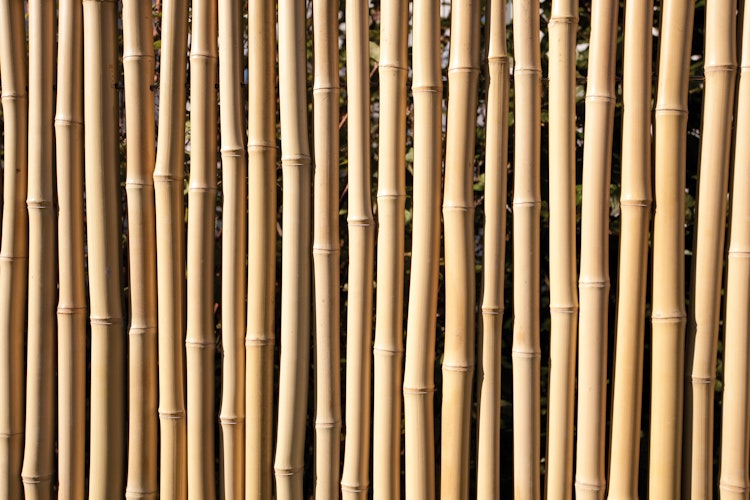 TraumGarten Bambu 89x179 cm