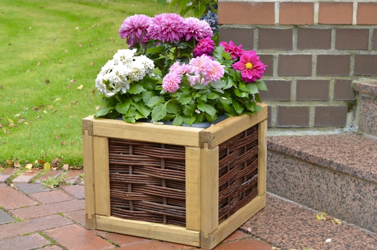 T&J ALICIA Blumenkasten Weide B 40 x T 40 x H 32 cm -Auslaufartikel