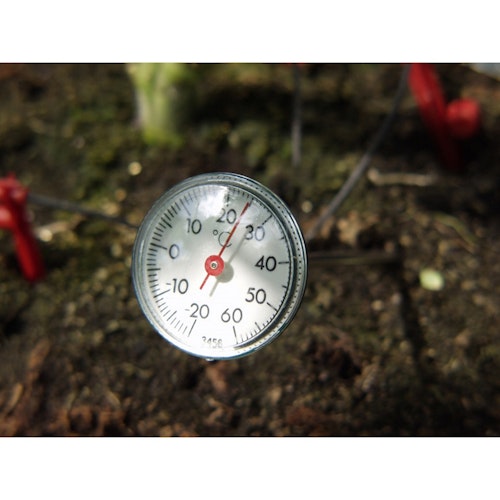 Vitavia Erdthermometer Bild