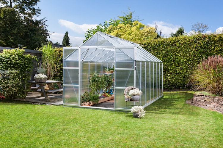 Vitavia Gewächshaus Uranus 11500 inkl. 4 Dachfenstern - 11,5 m²