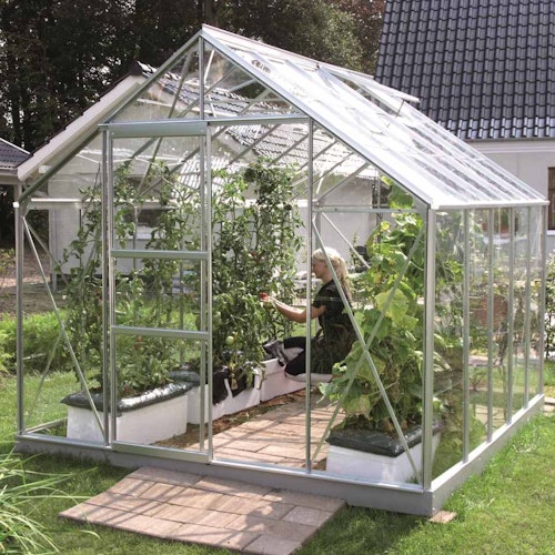 Vitavia Gewächshaus Merkur 8300 inkl. 2 Dachfenstern - 8,3 m²