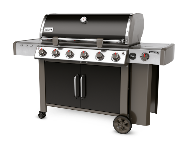 Weber genesis 6 burner best sale