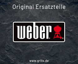 Weber Glühkerze für Smokefire EX4 / EX6 (69436)