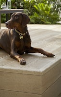 Weltholz millboard Terrassendiele ENHANCED GRAIN Golden Oak 3600 mm