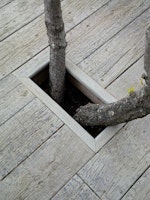 Weltholz Millboard® Terrassendiele WEATHERED Oak Driftwood 3600 mm