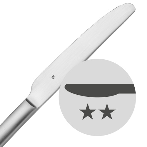 WMF Menümesser Alteo matt