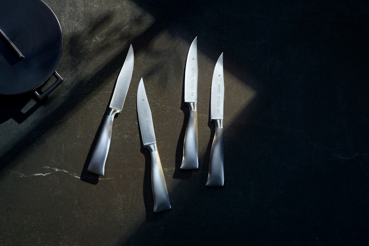 WMF Fleischbesteck-Set, 2-teilig