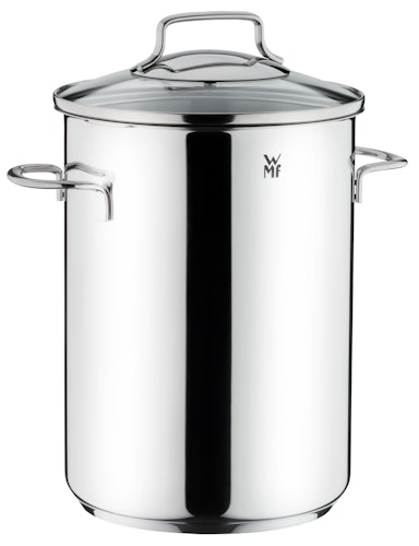 WMF Spargeltopf Ø 16 cm mit Drahteinsatz