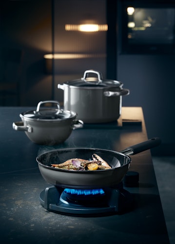 WMF Fusiontec Mineral Fleischtopf mit Glasdeckel, 24 cm, Platinum