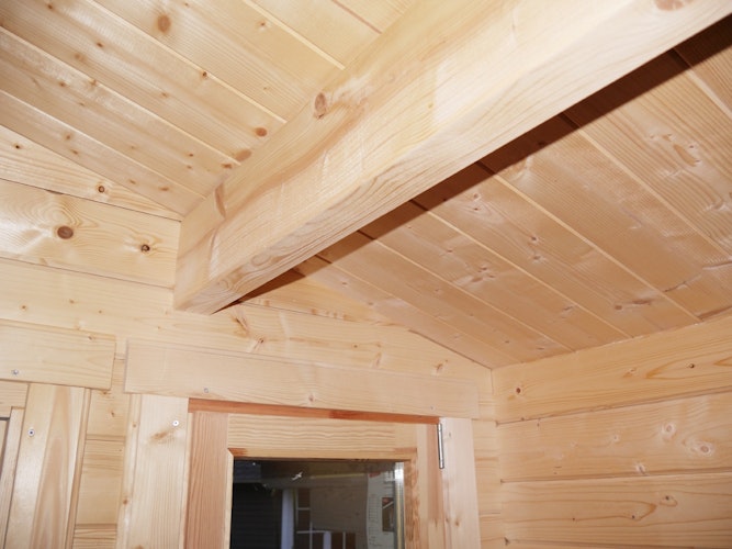 Wolff Finnhaus Gartenhaus Trondheim 70-A isolierverglast XL mit Anbau 300 cm