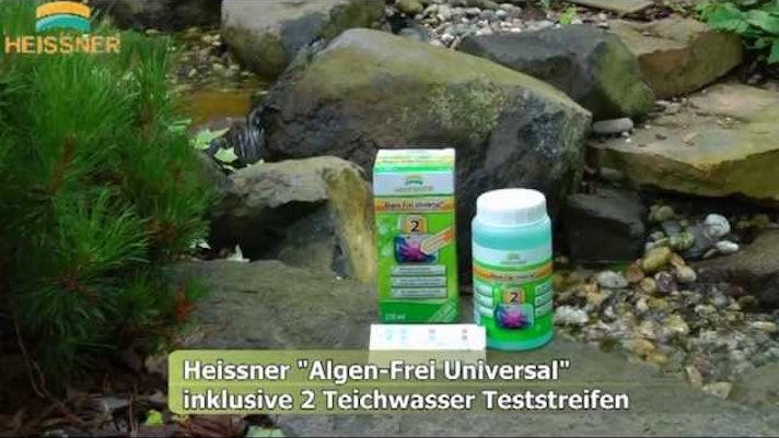 Vorschaubild Youtube-Video Vorschaubild Youtube-Video