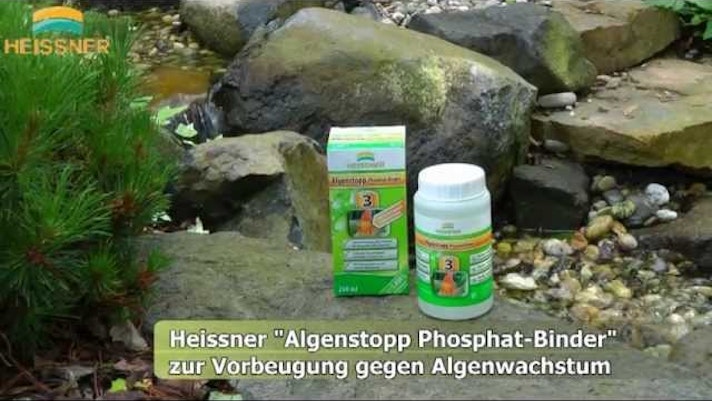 Vorschaubild Youtube-Video Vorschaubild Youtube-Video