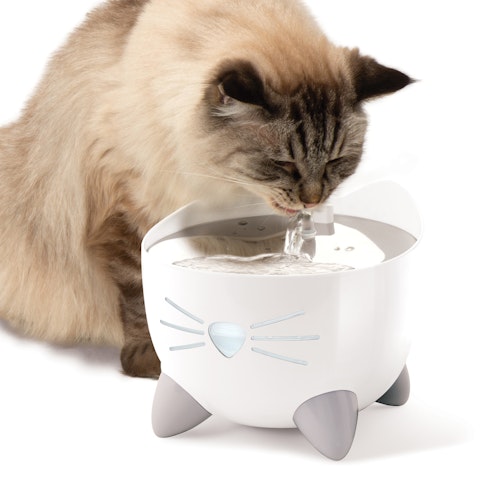 catit Pixi Smart Trinkbrunnen für Katzen