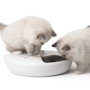 Vorschaubild catit Pixi Smart 6-Meal Katzenfutterautomat