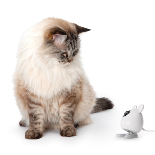 catit Pixi Smart-Mauskamera Katzenklappen