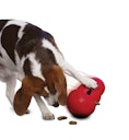 KONG Wobbler S Hundespielzeug
