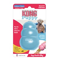 KONG Puppy Hundespielzeug