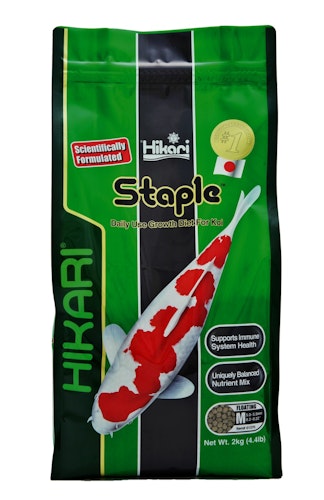 Hikari Staple Medium Koifutter