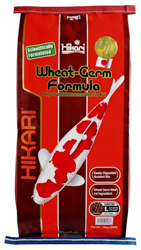 Hikari Wheat-Germ Large Koifutter