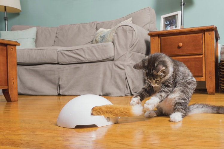 FroliCat Fuchsbau Katzenspielzeug