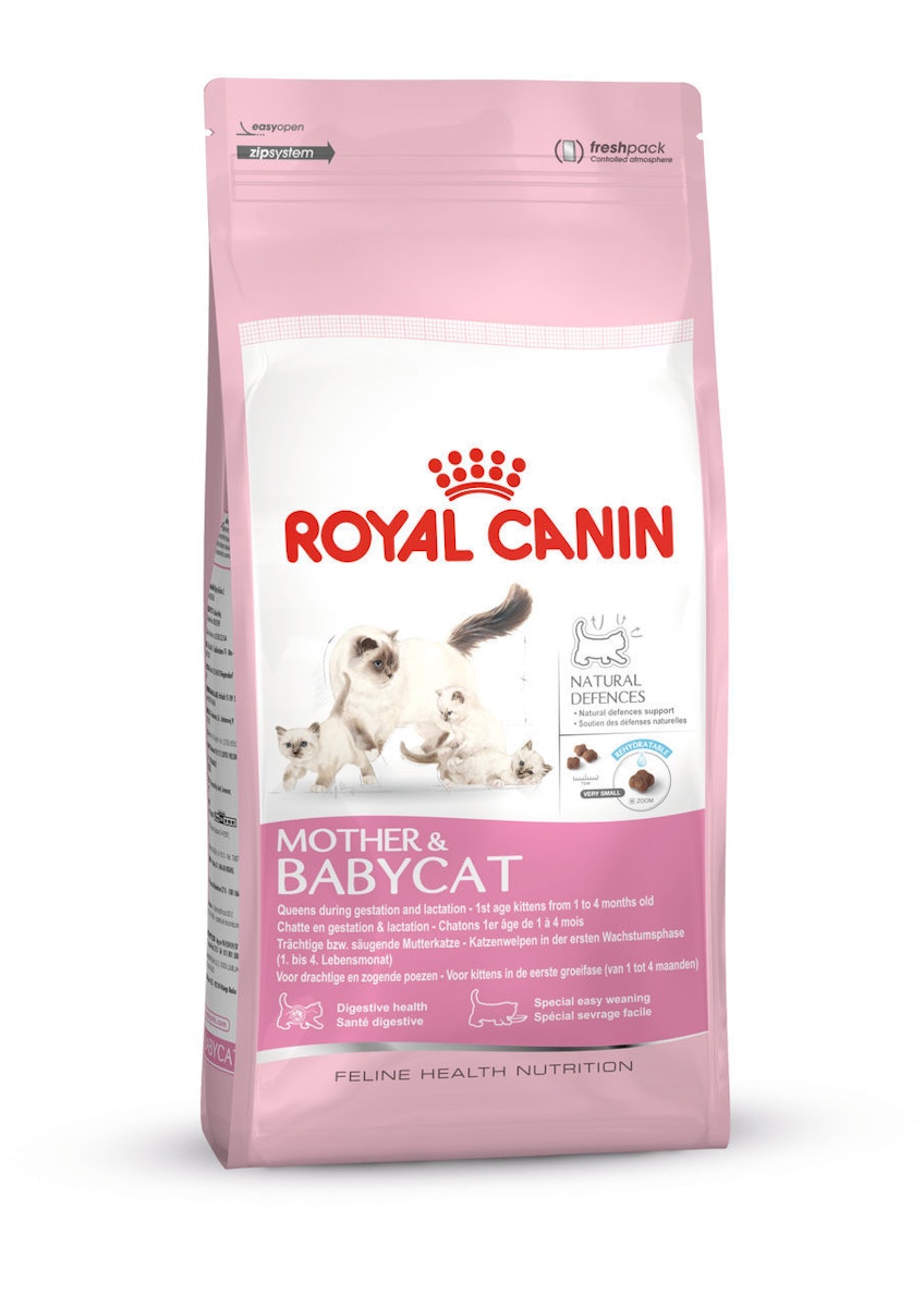 ROYAL CANIN FHN MOTHER & BABYCAT Katzentrockenfutter 2 Kilogramm