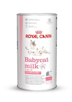 ROYAL CANIN FHN BABYCAT MILK 300g Spezialfutter für Katzen